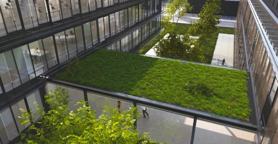 zielony dach na nowoczesnym budynku